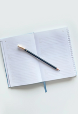 Blue Houses Address Book