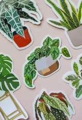 Houseplant Stickers