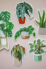Houseplant Stickers