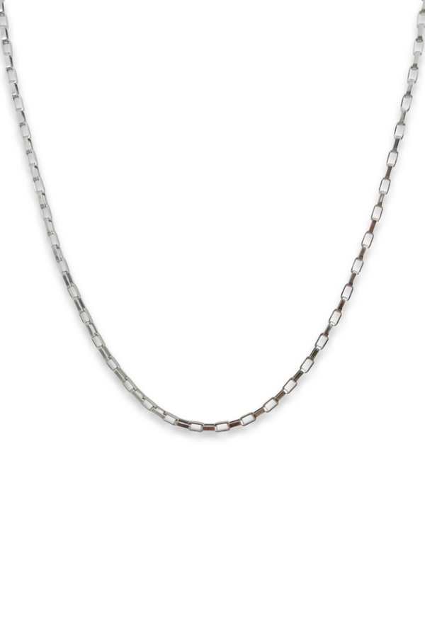 Valerie Chain Necklace