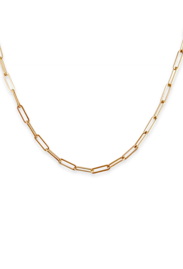Paige Chain Link Necklace