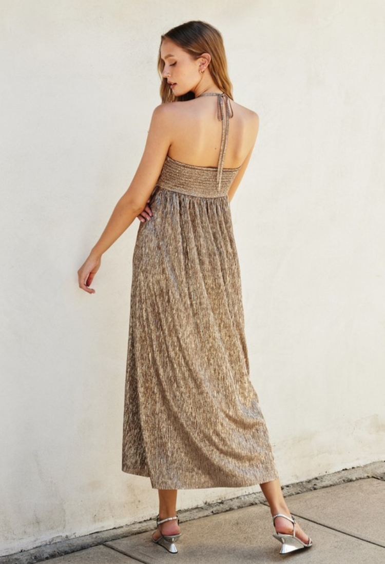 Champagne Toast Maxi Dress