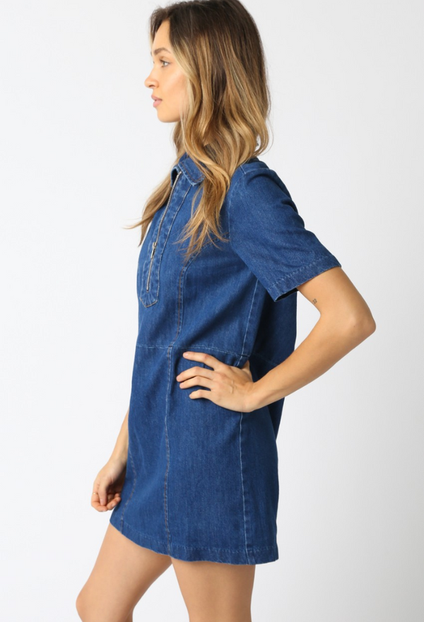 Diane Denim Dress