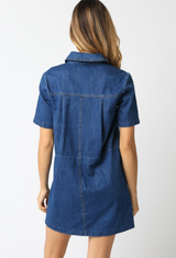 Diane Denim Dress