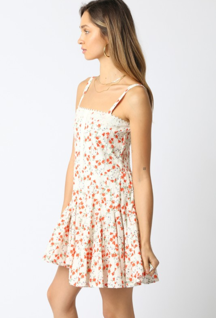 Poppy Girl Mini Dress