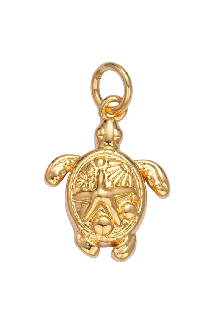 Sea Turtle Charm