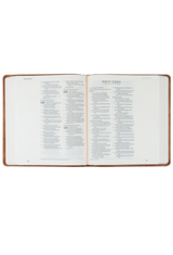 ESV Journaling Bible: Sierra Theme