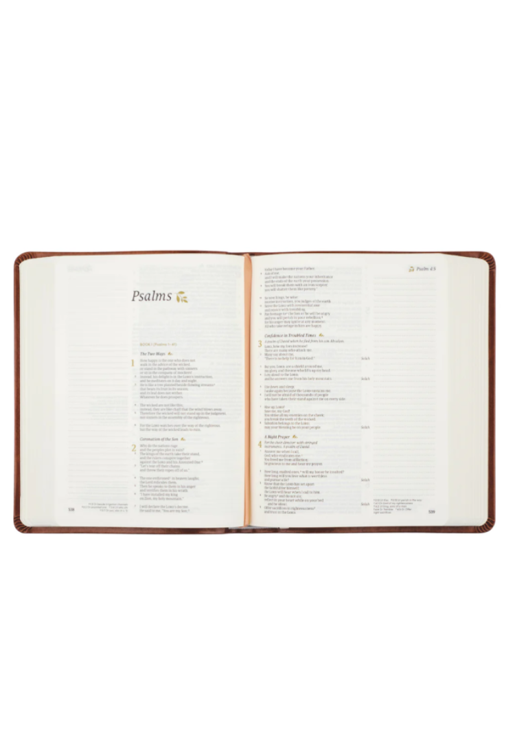 CSB Notetaking Bible: Vienna Theme