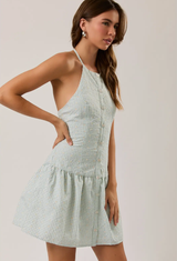 Gingham Sage Mini Dress