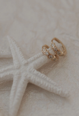 Stella Hoops