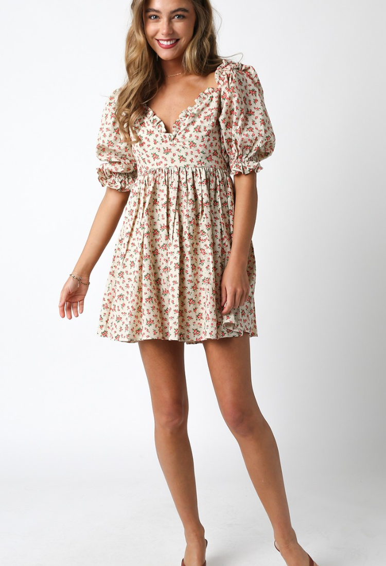 August Bloom Mini Dress Bella + Mauve August Bloom Mini Dress Bella + Mauve