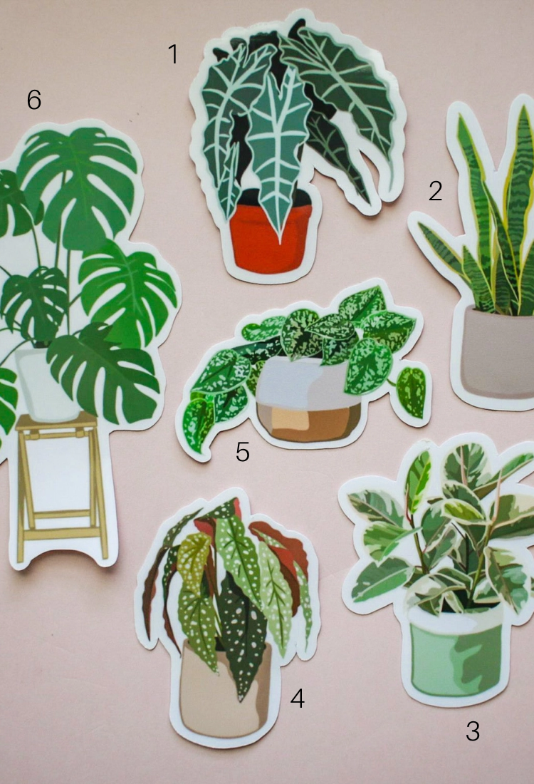 Houseplant Stickers