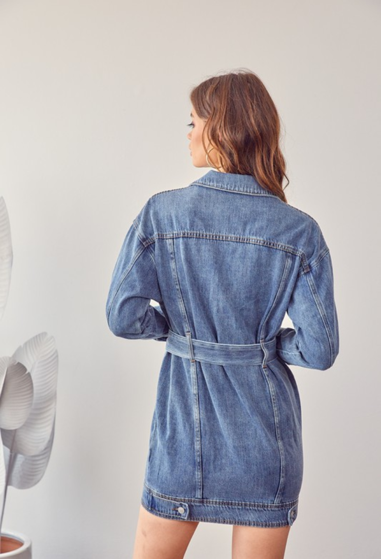 Denim Dream Dress