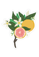 Grapefruit Bloom Sticker