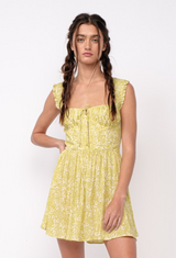 Life Gives Limes Dress